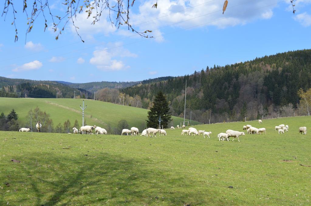 Chata Nova Seninka Staré Město エクステリア 写真